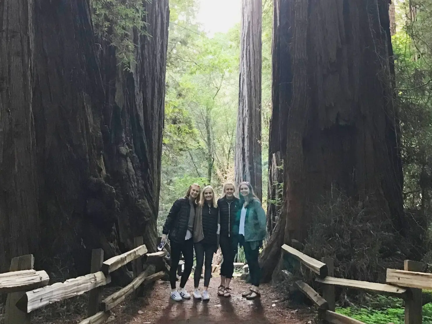 Muir woods private tour from San Francisco